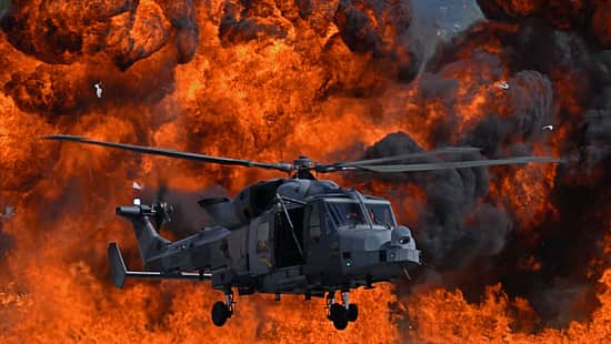 Wildcat vor Flammenwand