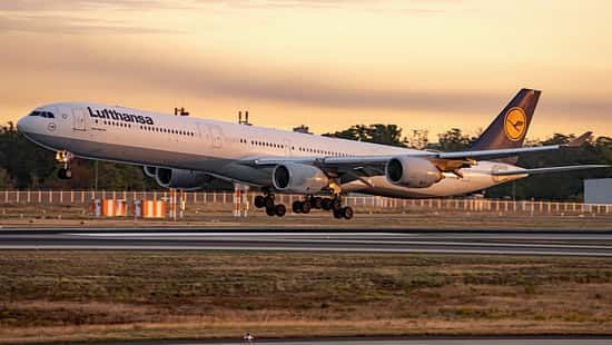 Airbus A340-600 der Lufthansa bei der morgendlichen Landung in Frankfurt.