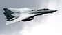 F-14 Tomcat der US Navy im schnellen Vorbeiflug