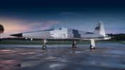 F-5E Tiger II von Tactical Air.