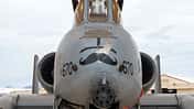Detail Bug A-10 Thunderbolt II Davis-Monthan AFB