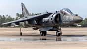 Rollender AV-8B Harrier der VMA-231 Ace of Spades