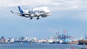 Airbus Beluga XL im Landeanflug auf Hamburg