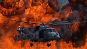 Wildcat vor Flammenwand