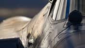 Eine russische Su-57 in der Nahaufnahme.